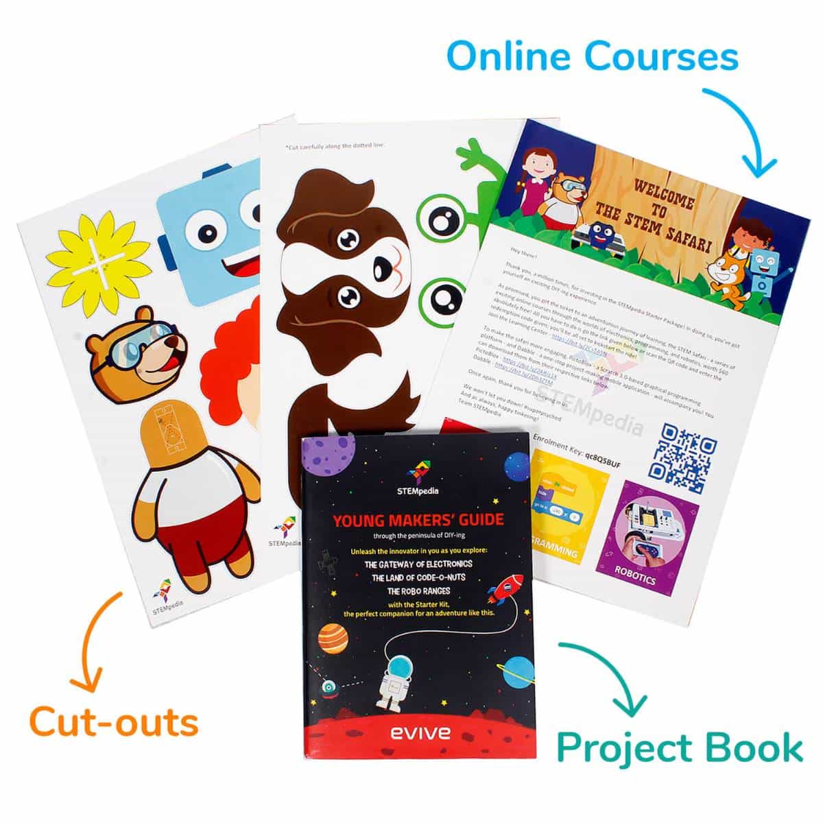 evive Starter Kit - Image 4