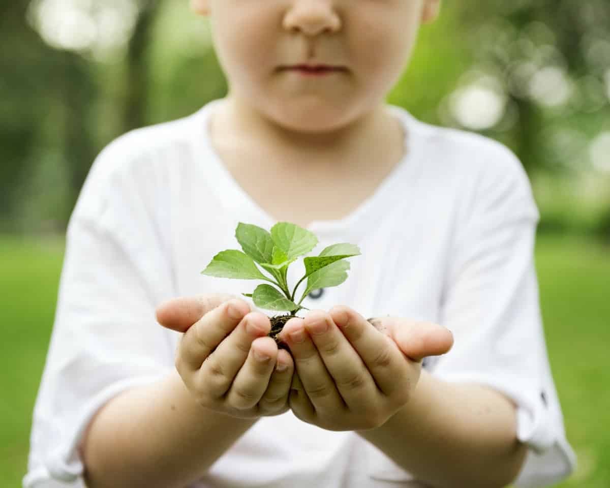 Productive Things to When Bored Do for Kids