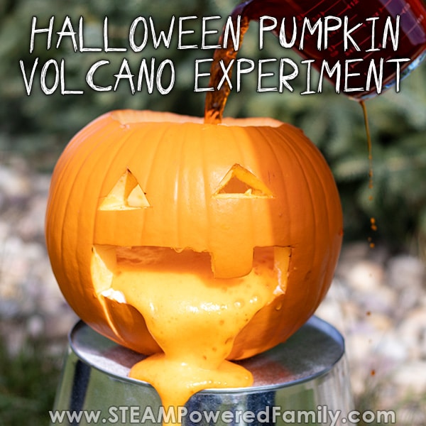 Halloween STEM 草草久性色88av综合av视频