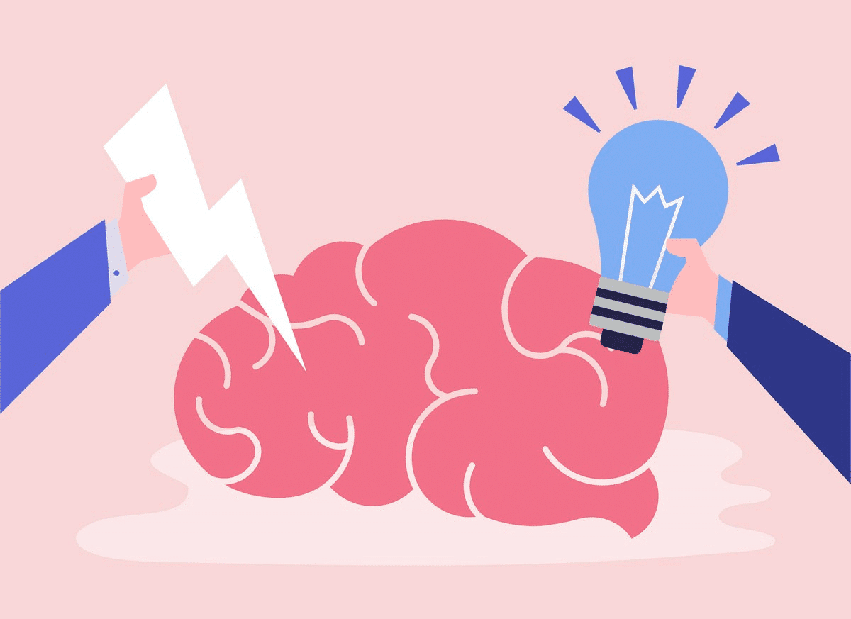 STEM Creative Freedom
