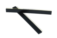 Female-Burgstick.png